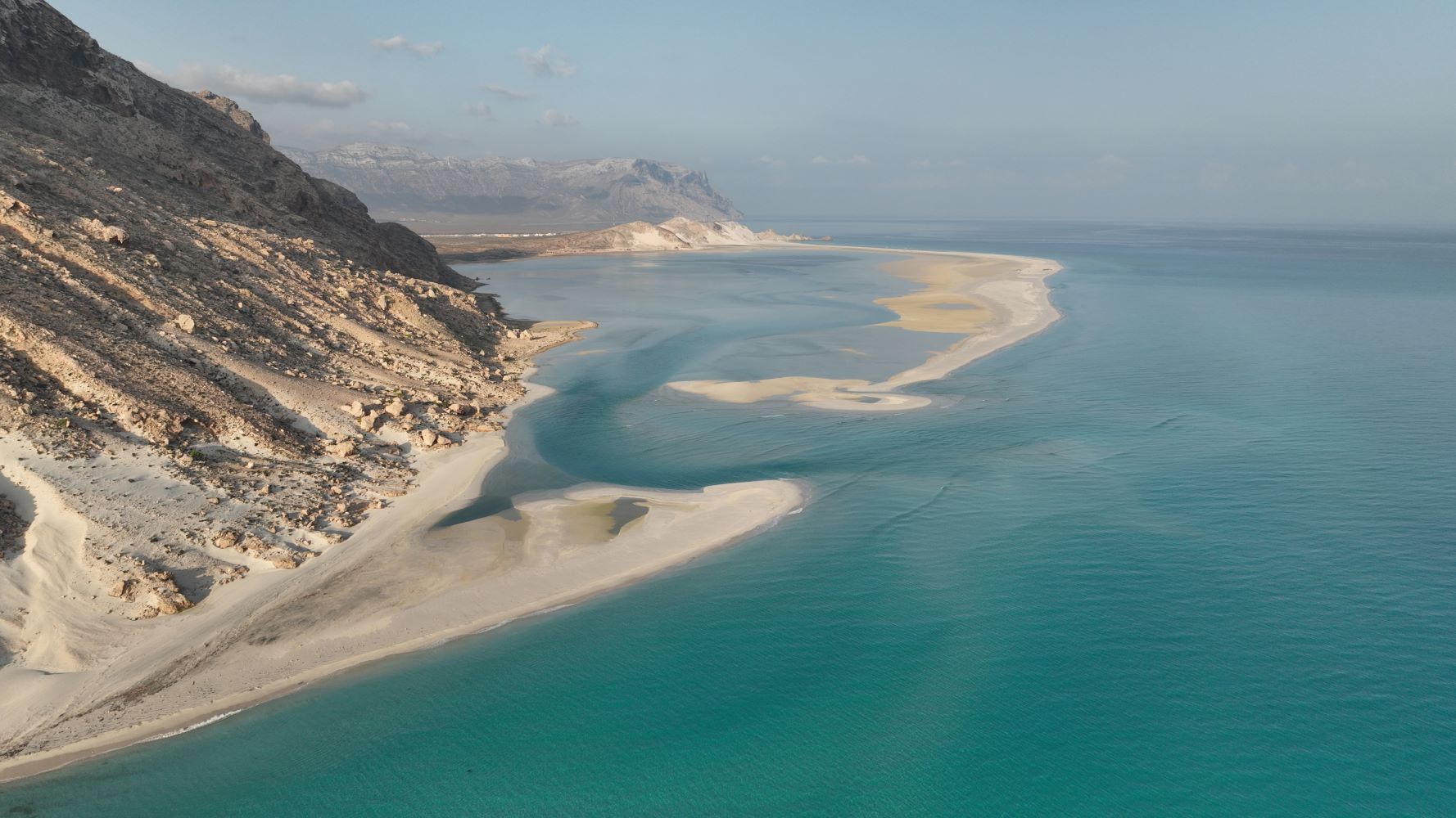 Dragon Blood Tree landscape in Socotra Island